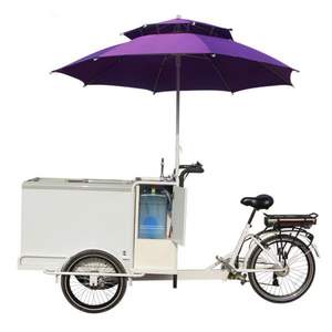 Tricycle électrique de livraison de glaces - Vélo-chariot à caisse ouverte avec congélateur et personnalisation disponible - Idéal pour la vente ambulante - Product Image 5