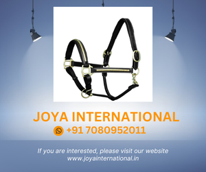 Halter en cuir rembourré saisonnier Clincher - Product Image 2