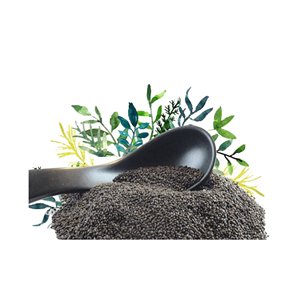 Ocimum Basilicum, venta al por mayor, semillas dulces secas, especias, albahaca, AD, hierbas y especias individuales, hierbas y especias, Vietnam negro - Product Image 1