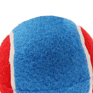 กีฬากลางแจ้งแบบมืออาชีพลูกบอลเล่นคริกเก็ตเทนนิสเล่นคริกเก็ตเล่นกีฬาชายหาดปรับแต่งได้สองสีและโลโก้ - Product Image 5