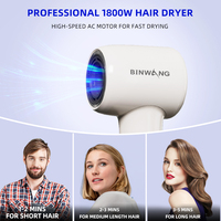 Sèche-cheveux ionique professionnel Binwang 1800W avec moteur BLDC, faible bruit 60dB, 2 vitesses, utilisation extérieure, logo personnalisé OEM
