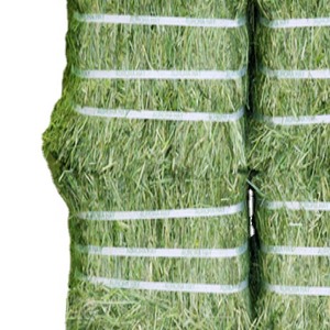 Chất lượng cao cỏ linh lăng Rhodes cỏ hay kiện xuất khẩu chất lượng thức ăn chăn nuôi phụ gia cho cá chó gia súc cừu ngựa Thỏ - Product Image 3