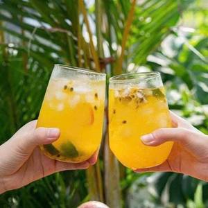 Fruit de la Passion Lyophilisé Tropical du Vietnam Saveur Naturelle Approvisionnement en Gros - Product Image 3