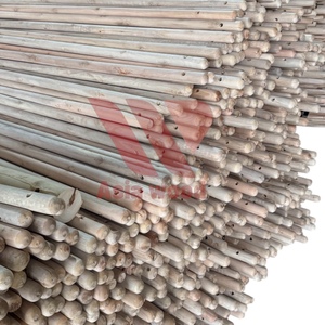 Escoba de madera 2 en 1 hecha en Vietnam, mango de madera recubierto de PVC, eucalipto, madera Natural, ergonómico, ecológico, impermeable, portátil - Product Image 1