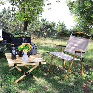 Silla mochila de acero inoxidable de gran venta, silla plegable portátil para acampar en la playa con metal de viaje para uso en el jardín - Product Image 6