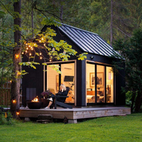 Mini studio de 16 m² en bois, style cabane, avec toit en acier