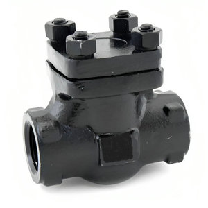 Corps de clapet anti-retour horizontal en acier forgé C-Way ASTM A-105, testé sous pression de 207 bars, filetage femelle NPT vissé 1 pouce - Product Image 3