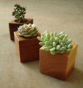 Maceta de flores de madera de calidad, la mejor calidad, jardín, hogar, suelo de pie, maceta de madera, bonsái, maceta de madera para gran oferta - Product Image 4