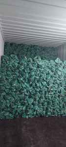 ไม้กวาดพีวีซียูคาลิปตัส100% คุณภาพสูงขนาด120x2.2ซม. ขนาดต่ำกว่า1ดอลลาร์2025การสั่งซื้อมีจำนวนจำกัด! - Product Image 6