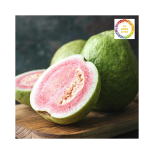 Laissez goyave congelée vous transporter aux tropiques avec sa saveur naturelle fraîche, douce et parfaitement réfrigérée 2025 Vietnam - Product Image 4