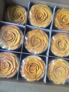 Proveedor de Vietnam Fruta seca de alta calidad 100% Mango natural Mango suave secado AD Proceso de secado Akina - Product Image 6