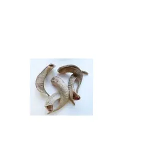 Wholesale Shofar Horn natural craft customized size sale 100% Best quality sheep horn Natural polished Ram sheep horn