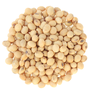 Graines de soja biologiques non-OGM en vrac 25 kg pour l'alimentation animale et la consommation humaine - Product Image 2