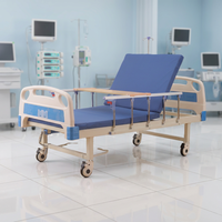 Cama de Hospital Manual de Dos Manivelas con Respaldo Ajustable y Barandillas Laterales de Acero Resistentes para Uso Diario en Salas de Hospitalización