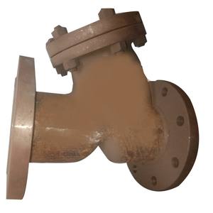 ตัวกรองน้ำชนิด Y คุณภาพดีที่สุด PN16 คลาส 150 ทำจากทองแดง พร้อมหน้าแปลน สำหรับระบบจ่ายน้ำ รองรับแรงดันสูง รองรับ ODM สำหรับงานหนัก - Product Image 5