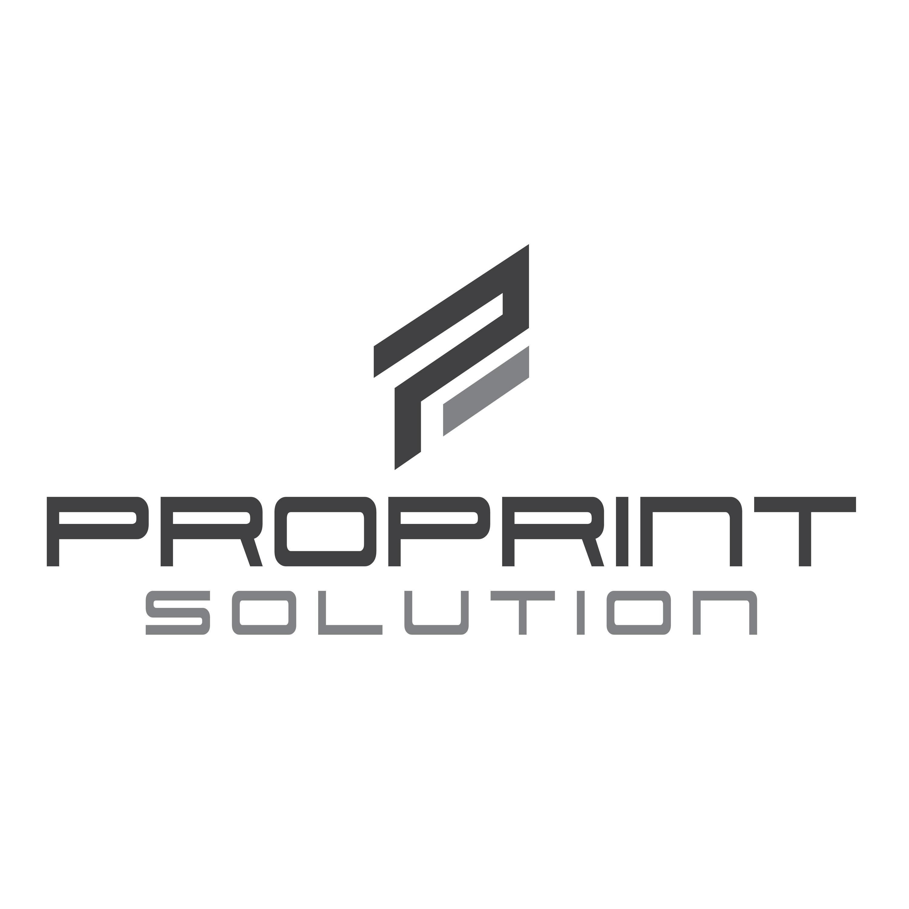 ProPrint Solution Inh. Benjamin Grammel logo