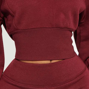 Sudadera informal con capucha y cremallera para mujer de invierno 100% Jersey de algodón a prueba de viento transpirable frente bordado personalizado ropa activa - Product Image 2