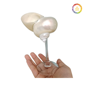 Taza de conchas marinas al por mayor para suministros de eventos, decoración de bodas y recuerdos con precio bajo y buena calidad - Product Image 3