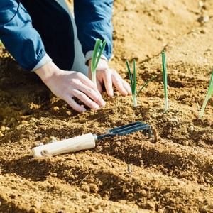 Made in Japan Durable Steel Garden Fork Weeder With Ergonomic Natural Wood White Ash Handle Garden Fork - Product Image 2