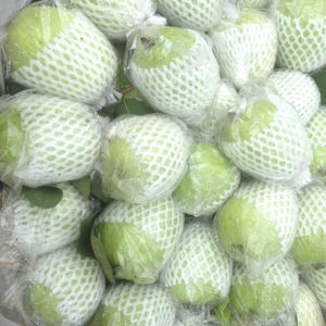 Top-Grade Tropical Guava | Fresh, <b>Sweet</b> & Nutritious | Bulk Orders | Natural, Convenient for Smoothies & Juices - Product Image 4