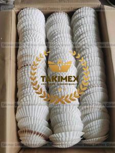 เปลือกหอยเปลือกหอยแห้งจากเวียดนาม - Product Image 6