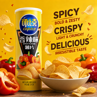 Copico Chips de pommes de terre au goût épicé 105g