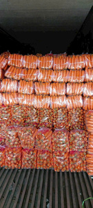 Zanahorias de alta calidad de Vietnam que cumplen con los estándares de exportación en productos agrícolas - Product Image 4