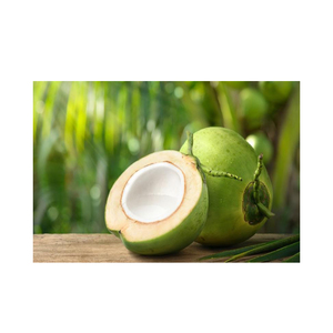 เนื้อมะพร้าวแช่แข็งมาตรฐานส่งออกเวียดนามสำหรับร้านอาหารคาเฟ่และใช้ในการผลิต - Product Image 1