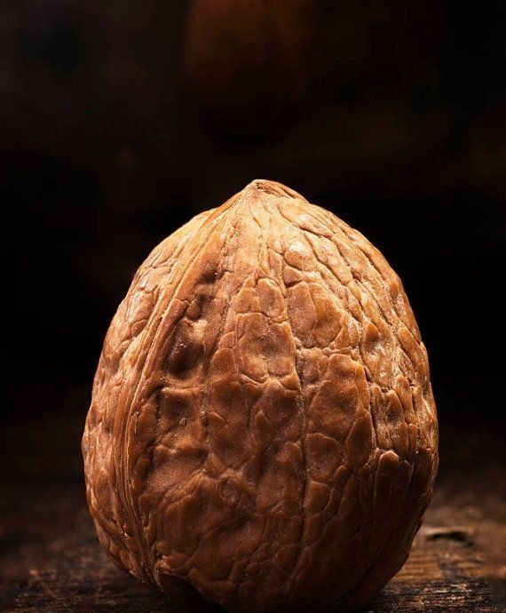 Fresh Harvest Raw Walnuts