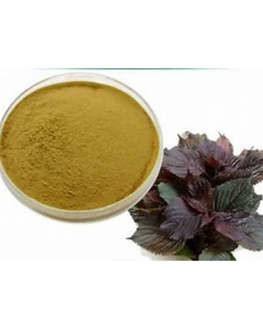 SUPLEMENTO DE HOJA DE PERILLA EN POLVO 100 POR CIENTO SUPLEMENTO DE HIERBAS A BASE DE PLANTAS NATURALES PARA EL APOYO INMUNE DIARIO - Product Image 1