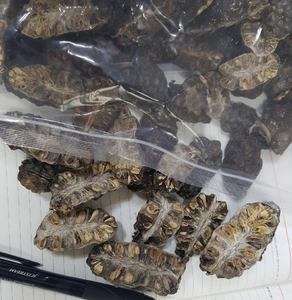 Vente en gros de copeaux de noni séchés Matériau tropical naturel pour l'assaisonnement et l'approvisionnement de l'industrie alimentaire en provenance du Vietnam - Product Image 4