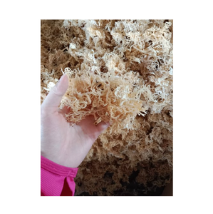 Exportation d'algues Cottonii de qualité depuis le Vietnam-Algues Cottonii séchées de qualité supérieure - Product Image 1