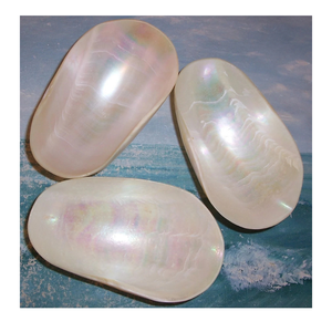 Plato de nácar hecho a mano con conchas de ostras, plato para servir de caviar para cocina casera y catering - Product Image 4