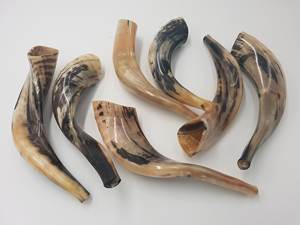 Corne de bélier véritable sculptée à la main traditionnelle Shofar-Fournisseur fiable pour les églises et les ministères - Product Image 2