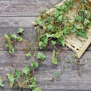 ใบเพนนีเวิร์ทจากฟาร์มเป็นทางเลือกที่ดีที่สุดใบบัวบกแท้ส่งตรงจากฟาร์ม - Product Image 5