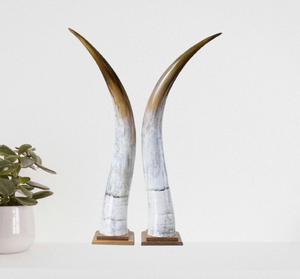 Decoración de Hogar Creativa Hecha a Mano con Soporte de Acero Elegante y Cuerno de Búfalo Natural, Estilo Moderno de Casa de Campo para Bodas, Multipieza - Product Image 1