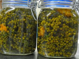 Pimienta verde en lata, pimienta salada en salmuera - Product Image 2