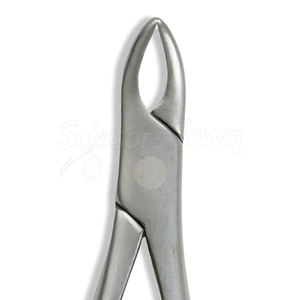 Fórceps de Extracción Dental Ergonómicos de Acero Inoxidable para una Extracción Dental Controlada y Cómoda - Product Image 5