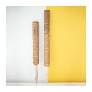 Vine Plant Life Support Stackable Coconut Fiber Coir Moss Stick Totem <b>Stake</b> <b>for</b> Growing Plants Upwards - Product Image 1