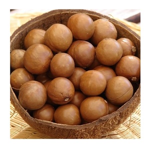 Nueces de macadamia crudas en venta, nueces de macadamia tostadas con cáscara, precio al por mayor. - Product Image 5