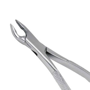 Juego de Instrumentos Dentales de Acero Inoxidable, Fórceps Manuales para Extracción Dental, Alicates de Alta Calidad para Remover Dientes, Instrumentos Quirúrgicos Orales - Product Image 3