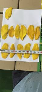 NUEVOS PRODUCTOS DE MANGO SECO SIN AZÚCAR EN FÁBRICA/100% MANGO PURO DE VIET NAM PROVEEDOR/LA MEJOR OPCIÓN PARA USTED - Product Image 3
