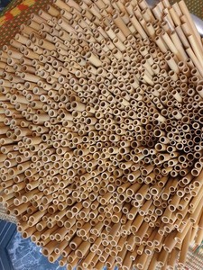 Pajitas de bambú hechas en Vietnam, pajitas de bambú secas, reutilizables y aptas para muchas bebidas - Product Image 6