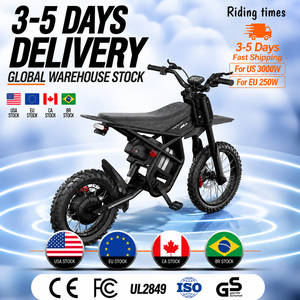 Moto électrique tout-terrain Ridingtimes GT73PRO avec moteur 3000W pour les États-Unis et 250W pour l'UE, 60V - Product Image 3