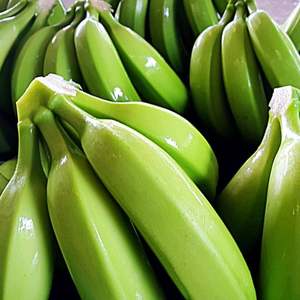 กล้วยสดคาวเวนดิชพรีเมียม - เกรด I สำหรับส่งออกจำนวนมาก - Product Image 3