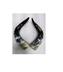 Uffalo-cuerno de búfalo para decorar el hogar y las habitaciones, cuerno montado en la pared, tamaño personalizado y precio barato - Product Image 6