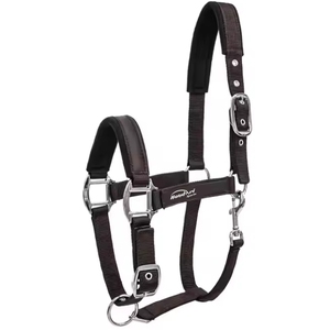 Top Trending Horse Nylon Halter Suministros ecuestres Arnés de caballo Halters Equipo de entrenamiento de caballos 2025 - Product Image 3