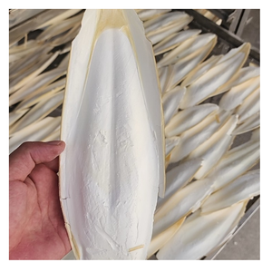 Materia Prima Seleccionada, Hueso de Sepia (Nang Muc) de Vietnam, Suministrado a Granel con Cotización Favorable para Compradores Globales - Product Image 1