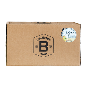 BIO Pack Bouteille aromatisée à l'eau pétillante 24x33cl Ose Citron Gingembre Fabricant de boissons Ingrédients naturels d'été frais Agua Gas Drink - Product Image 1