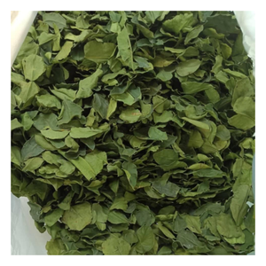 OFERTA ESPECIAL - Hoja de lima de Vietnam, solución de abastecimiento de ingredientes para mezclas de condimentos, uso en restaurantes y mercados internacionales - Product Image 1